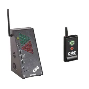 DSAN PERFECT CUE 2 BUTTON